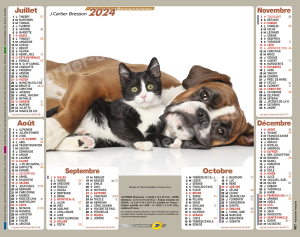 Calendrier almanach la poste chats duo 2024