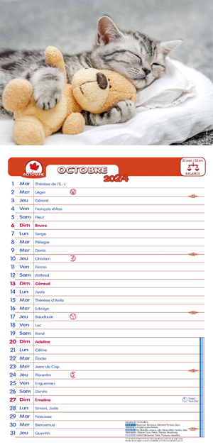 1 Calendrier éphéméride, comique, sur plaque Sweet - 2024 - Agenda