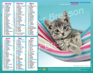 CHATONS