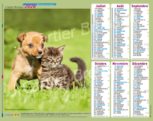 CHATS ET CHIENS