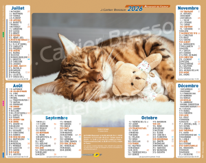 CHATONS ET CHIOTS DOUDOU