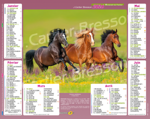 CHEVAUX