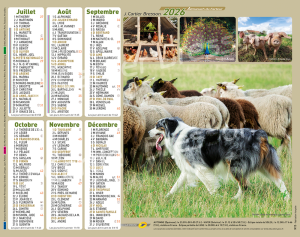 ANIMAUX DE LA FERME