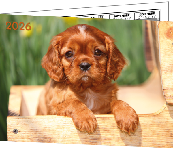 LOT DE 5 CALENDRIERS "BIJOUX" – Image 3
