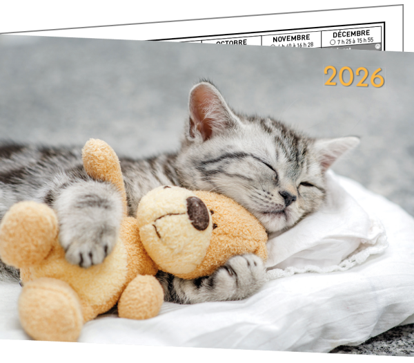 LOT DE 5 CALENDRIERS "BIJOUX" – Image 4