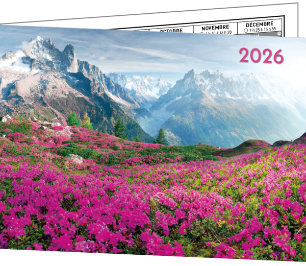 LOT DE 5 CALENDRIERS "BIJOUX"