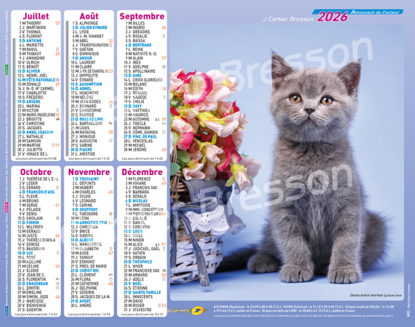 CHATONS – Image 2