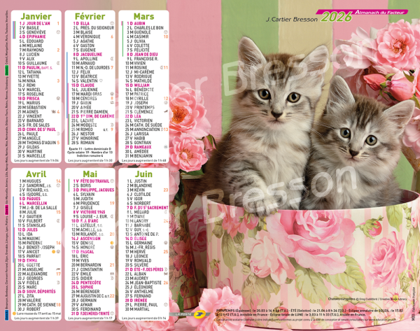 CHATONS DUO
