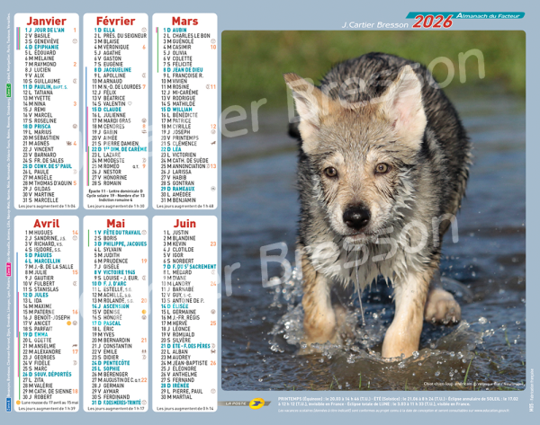 CHIOTS – Image 2