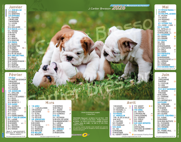 CHIOTS TRIO