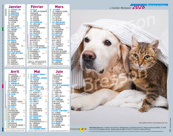 CHATS ET CHIENS