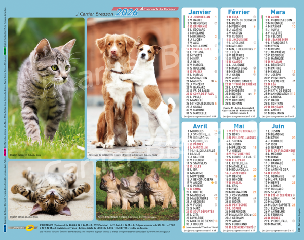 CHATONS/CHIOTS MULTI PHOTOS