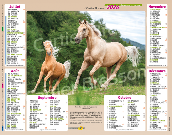 CHEVAUX – Image 2