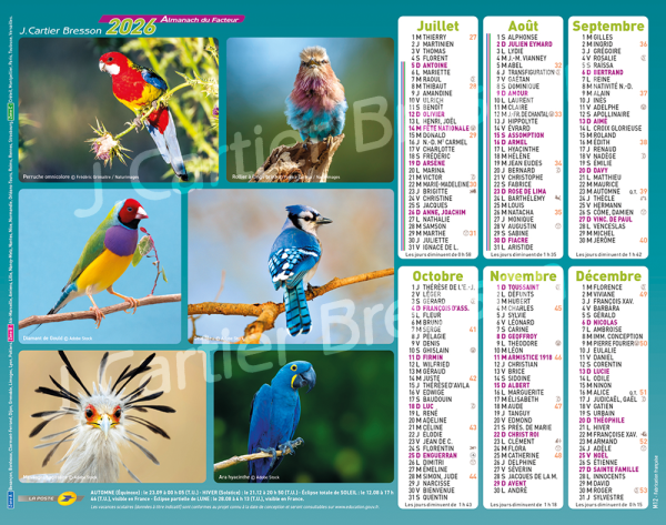 OISEAUX – Image 2