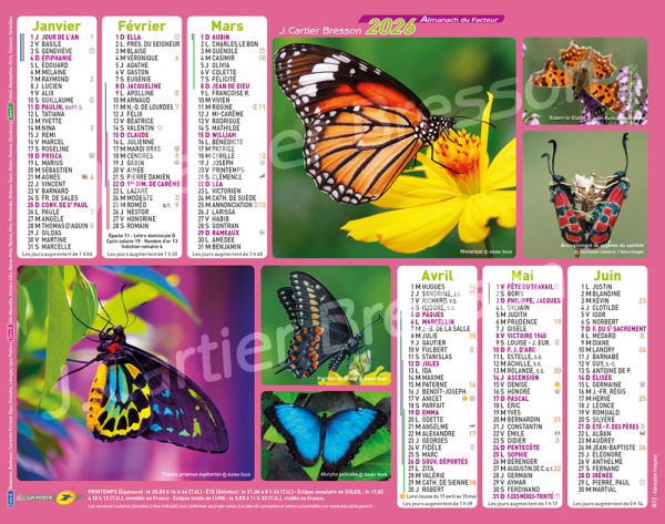 PAPILLONS
