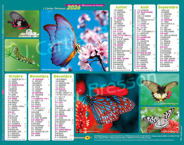 PAPILLONS – Image 2