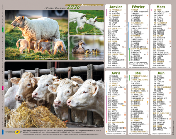 ANIMAUX DE LA FERME