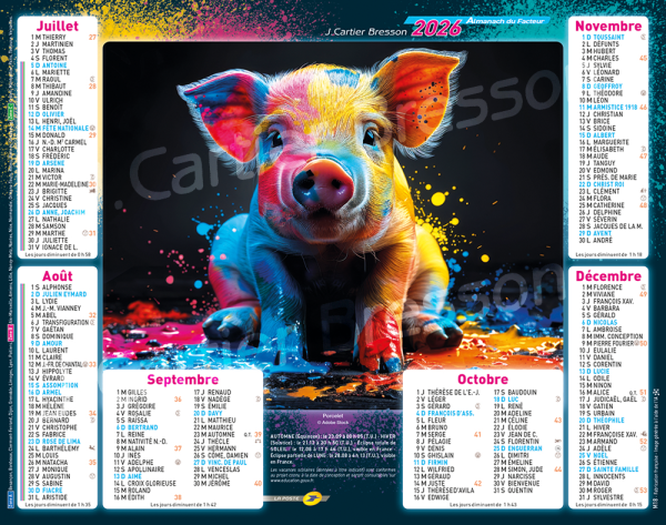 ANIMAUX EN IA – Image 2