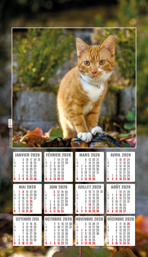 CALENDRIER SUR PLAQUE