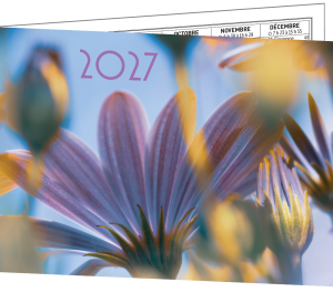 LOT DE 5 CALENDRIERS "BIJOUX"