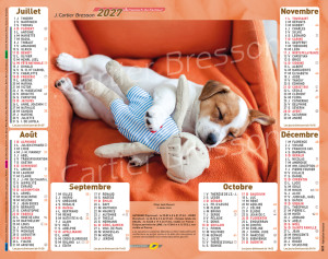 CHATONS ET CHIOTS DOUDOU